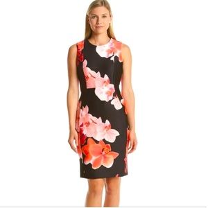 Calvin Klein Floral Sheath Dress Size 6